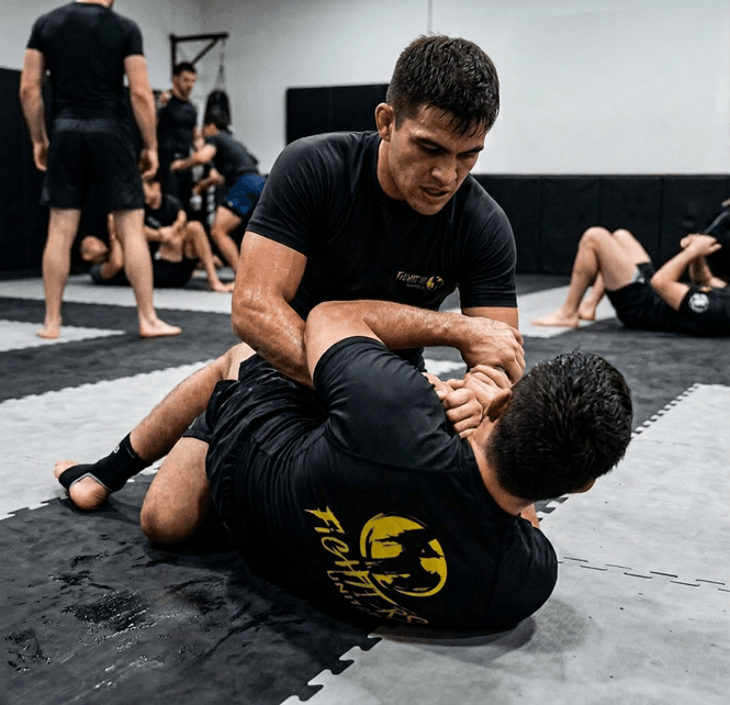 Hovedbilde No-Gi Grappling Herre